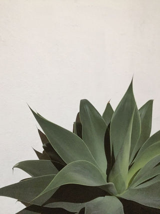 plante exterieur artificielle fausse plantes
