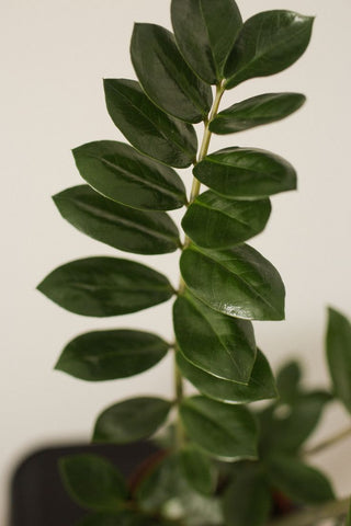 plantes artificielles fausse plante verte feuilles
