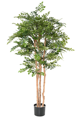 acacia artificiel plante artificielle arbre plante 