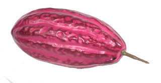 faux cacao fève rouge artificiel